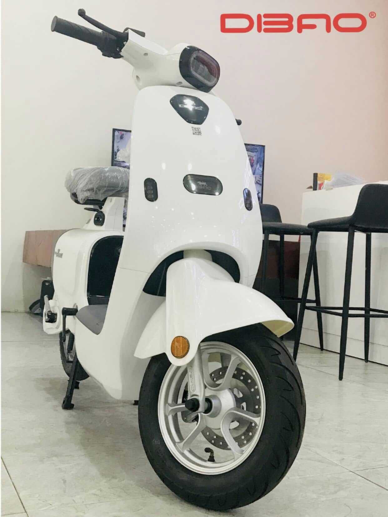 Hướng dẫn sử dụng xe đạp điện Dibao Hotgirl Keva cho người mới bắt đầu Hướng dẫn sử dụng xe đạp điện Dibao Hotgirl Keva cho người mới bắt đầu