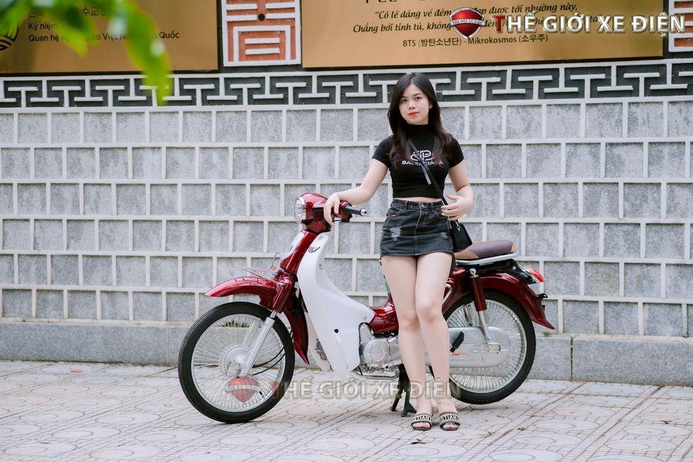 Xe Máy 50cc Cub New Vigor Ally 50SE Xe Máy 50cc Cub New Vigor Ally 50SE