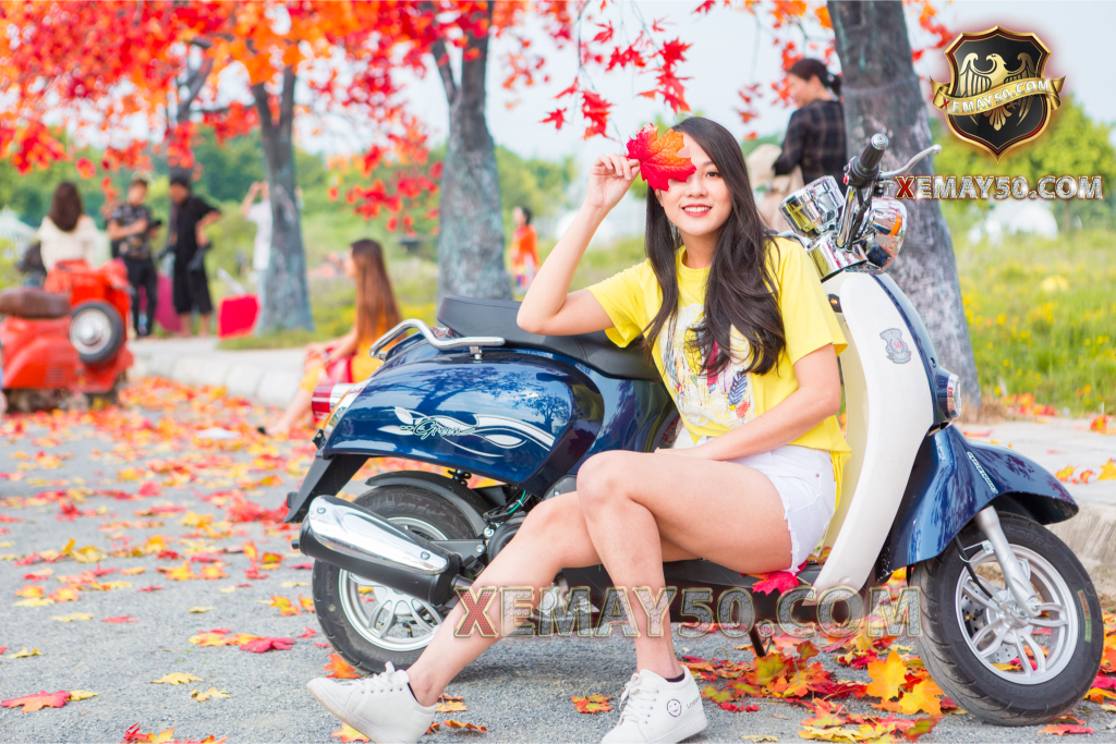 xe-ga-scoopy-50cc-viet-thai xe-ga-scoopy-50cc-viet-thai
