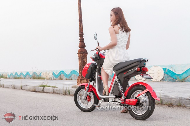 Xe đạp điện Nijia Dibao dành cho học sinh Xe đạp điện Nijia Dibao dành cho học sinh