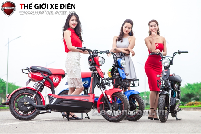 Đánh giá chi tiết mẫu xe điện Dibao 133SS 5 bình Acquy 20 Ah