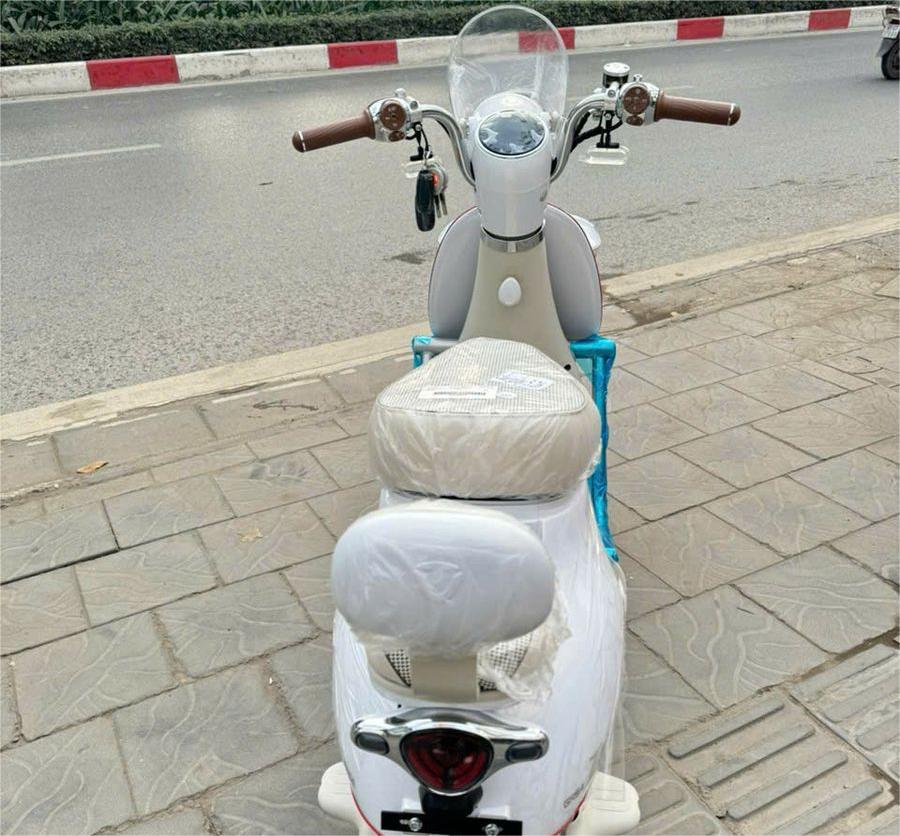 C&aacute;ch Nhận Biết Xe Đạp Điện 240W Đ&uacute;ng Chuẩn V&agrave; Xe Gắn Sai Th&ocirc;ng Số