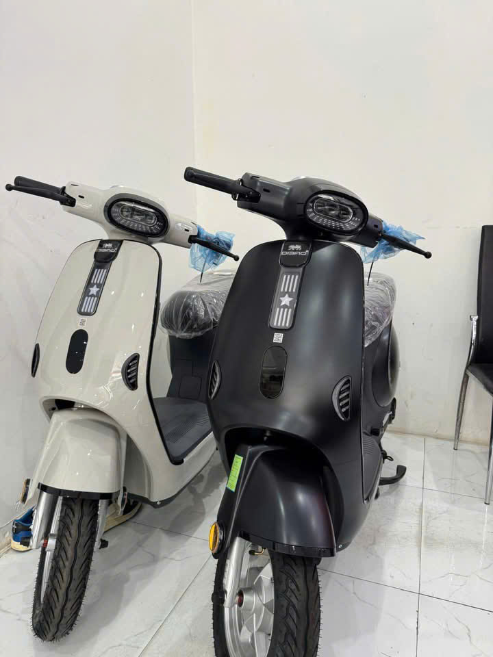 C&aacute;ch Nhận Biết Xe Đạp Điện 240W Đ&uacute;ng Chuẩn V&agrave; Xe Gắn Sai Th&ocirc;ng Số