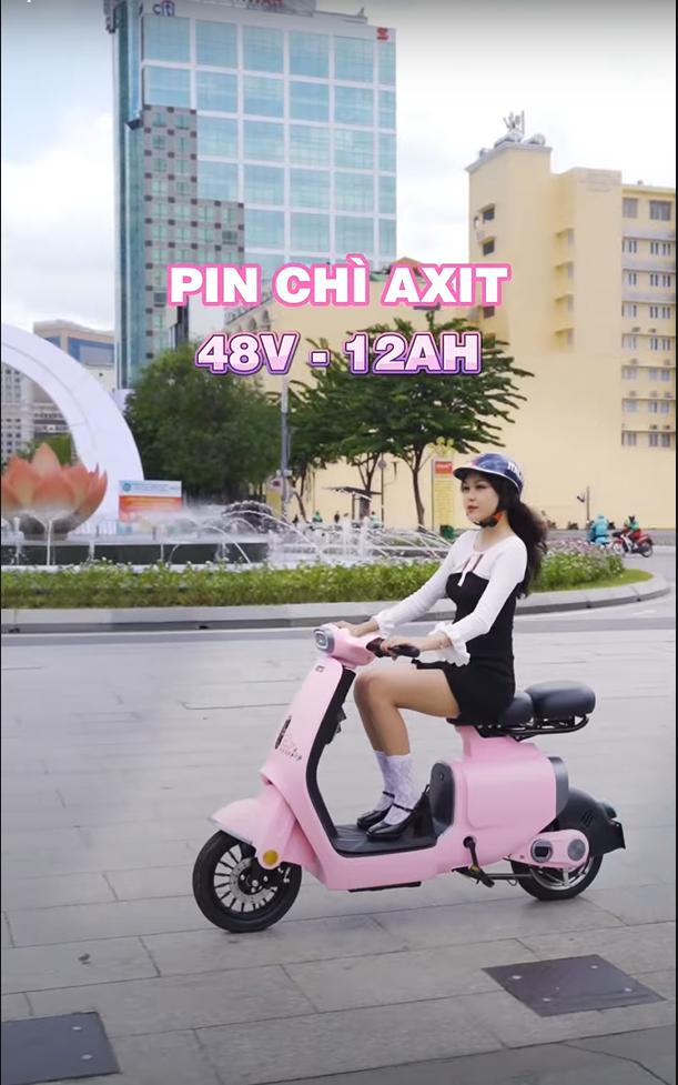 xe đạp điện dk s1 xe đạp điện dk s1
