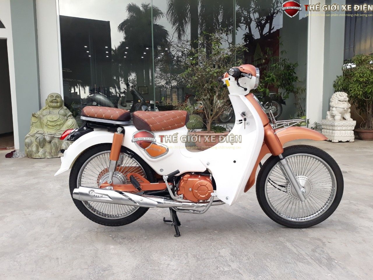 XE MÁY 50CC VÀ XE ĐIỆN: GIẢI PHÁP DI CHUYỂN HIỆU QUẢ CHO NGƯỜI CAO TUỔI XE MÁY 50CC VÀ XE ĐIỆN: GIẢI PHÁP DI CHUYỂN HIỆU QUẢ CHO NGƯỜI CAO TUỔI