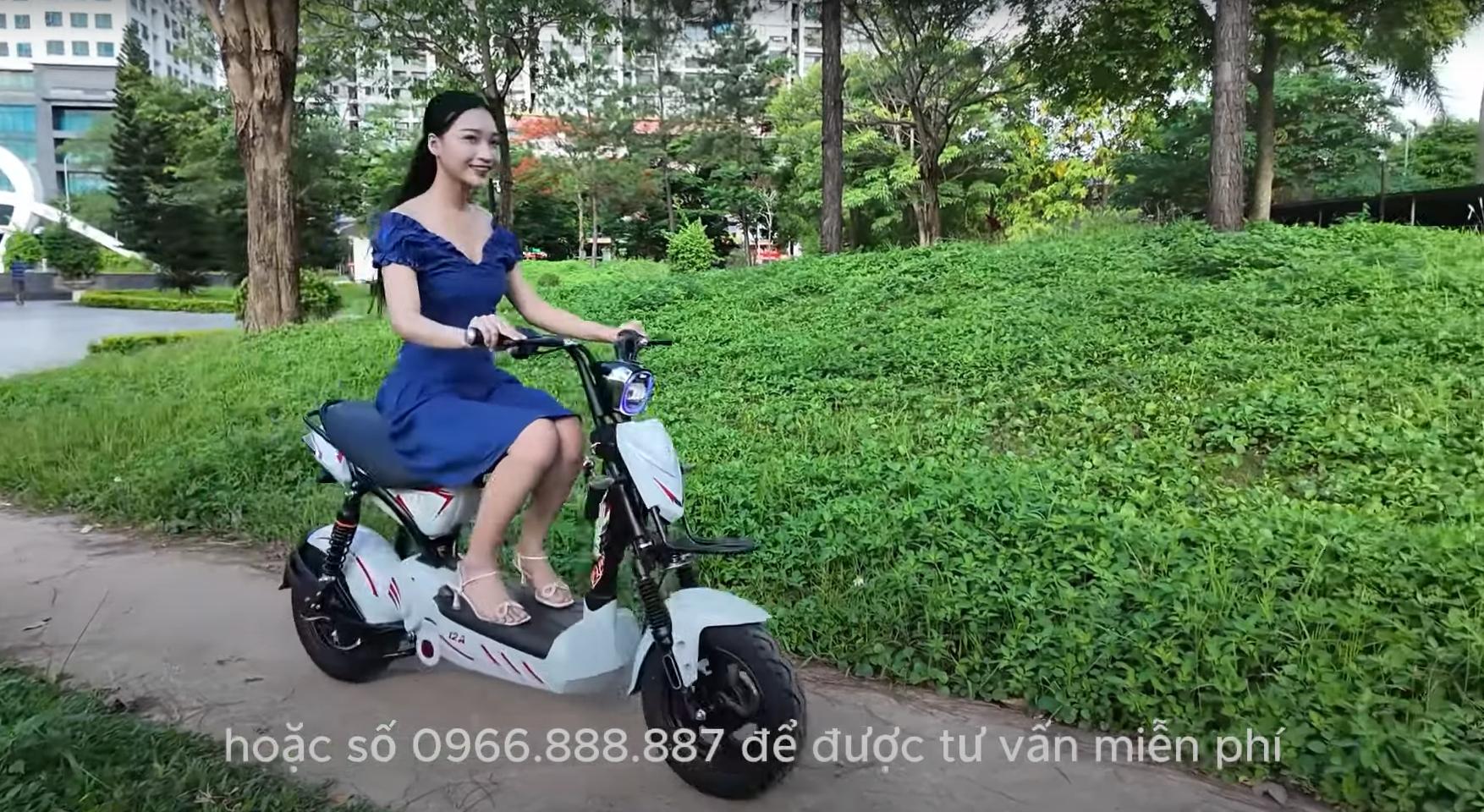 xe điện dt bike 12a xe điện dt bike 12a