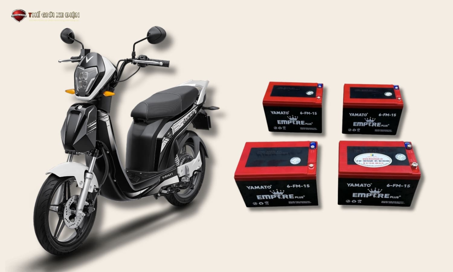 Ắc quy xe đạp điện 48V và 36V: Nên chọn loại nào?