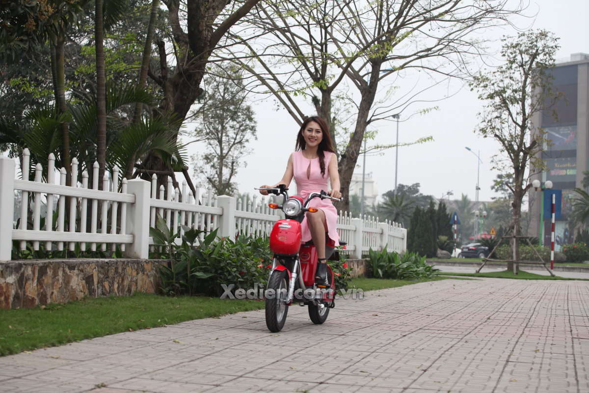 Xe đạp điện Ninja Dibao Eco xe-dien-nijia-dibao