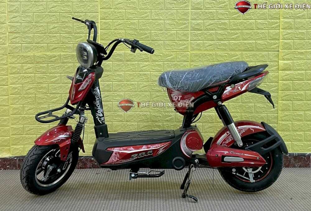xe đạp điện DT 20Ah