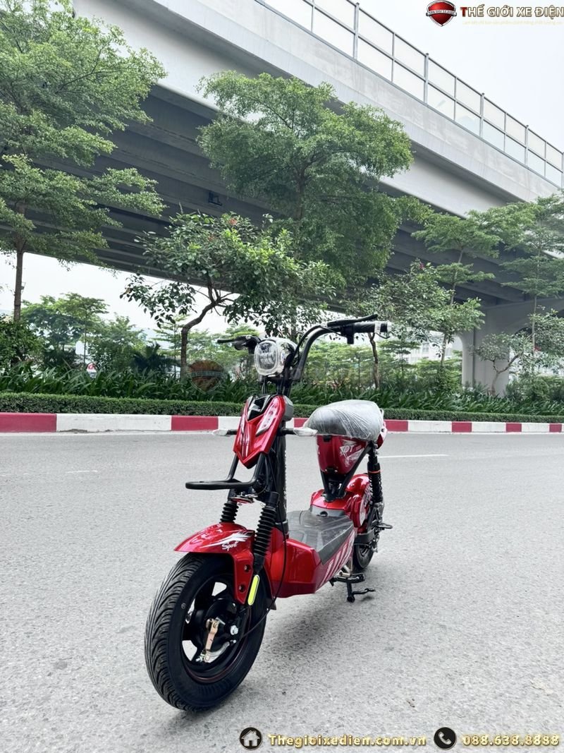 xe đạp điện DT 20Ah