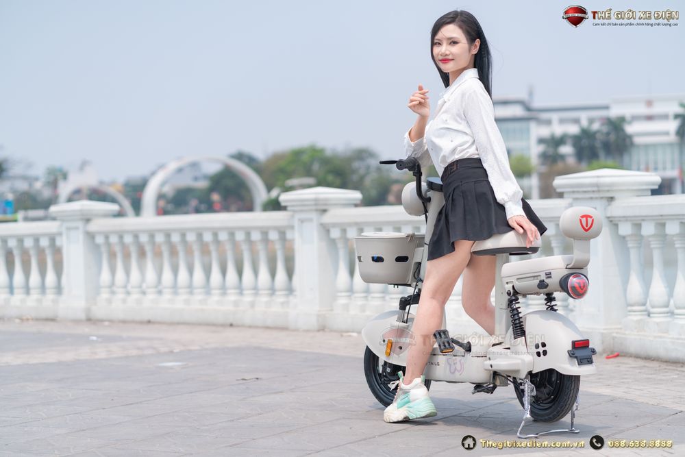 tailg jy33 mini bike