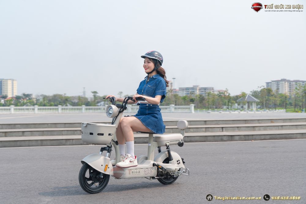 tailg jy33 mini bike