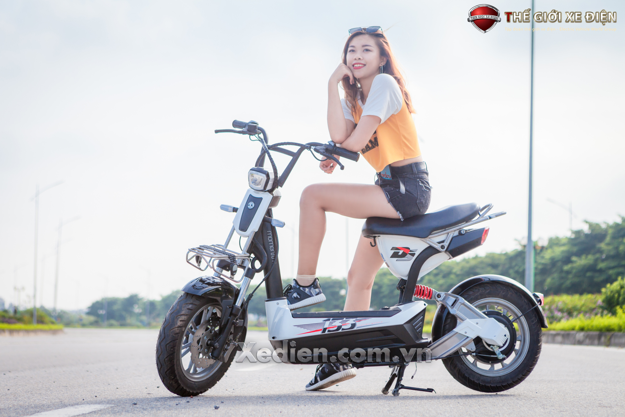 xe đạp điện xe-dien-giant-133ds